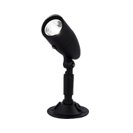 Spot Light Spot Light