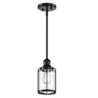 1 - Light Birdcage Shape Pendant Light, Matte Black Finish, Clear Glass Shade, E26 Base, UL Listed - LEDMyPlace Load image into Gallery viewer, 1 - Light Birdcage Shape Pendant Light, Matte Black Finish, Clear Glass Shade, E26 Base, UL Listed - LEDMyPlace