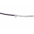 22AWG, 5 Pin, 10mm Width PCB, RGBW Strip - to - Wire - LEDMyPlace Load image into Gallery viewer, 22AWG, 5 Pin, 10mm Width PCB, RGBW Strip - to - Wire - LEDMyPlace