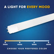 T8 LED Tube Lights Load image into Gallery viewer, T8 LED Tube Lights