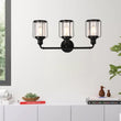 Birdcage Shape Bathroom Light Fixtures, Wall Mount, Matte Black with Clear Glass Shade, 1 - Light/2 - Light/3 - Light, E26 Base, For Damp Locations, Vanity Lighting - LEDMyPlace Load image into Gallery viewer, Birdcage Shape Bathroom Light Fixtures, Wall Mount, Matte Black with Clear Glass Shade, 1 - Light/2 - Light/3 - Light, E26 Base, For Damp Locations, Vanity Lighting - LEDMyPlace