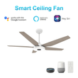 Explorer 52" White/Light Wood Finish, Best Smart Ceiling Fan w/ LED Light, Works w/ Remote Control/Alexa/Google Home/Siri (5 - Blade) - LEDMyPlace Load image into Gallery viewer, Explorer 52" White/Light Wood Finish, Best Smart Ceiling Fan w/ LED Light, Works w/ Remote Control/Alexa/Google Home/Siri (5 - Blade) - LEDMyPlace