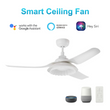 Daisy 52'' Best Smart Ceiling Fan with Remote, Light Kit Included, Works with Google Assistant and Amazon Alexa,Siri Shortcut Load image into Gallery viewer, Daisy 52'' Best Smart Ceiling Fan with Remote, Light Kit Included, Works with Google Assistant and Amazon Alexa,Siri Shortcut