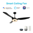 Icebreaker 56 in. Best Ceiling Fan with Lights and Remote Control(Set of 2), Black Finish, Works w/ Alexa/Google Home/Siri (3-Blade) Load image into Gallery viewer, Icebreaker 56 in. Best Ceiling Fan with Lights and Remote Control(Set of 2), Black Finish, Works w/ Alexa/Google Home/Siri (3-Blade)