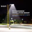LED Pole Lights Outdoor, 300W/240W/200W Wattage Adjustable, 5700K, 133 LM/W, Universal Mount (Adjustable Slip Fitter + Wall Mount), Bronze, IP65 Waterproof, AC120 - 277V, LED Parking Lot Lights - Commercial Area Street Security Lights - LEDMyPlace Load image into Gallery viewer, LED Pole Lights Outdoor, 300W/240W/200W Wattage Adjustable, 5700K, 133 LM/W, Universal Mount (Adjustable Slip Fitter + Wall Mount), Bronze, IP65 Waterproof, AC120 - 277V, LED Parking Lot Lights - Commercial Area Street Security Lights - LEDMyPlace