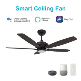 Somerset 52'' Best Smart Ceiling Fan with Remote, Light Kit Included, Works with Google Assistant and Amazon Alexa,Siri Shortcut Somerset 52'' Best Smart Ceiling Fan with Remote, Light Kit Included, Works with Google Assistant and Amazon Alexa,Siri Shortcut