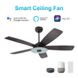Striker 52 In. Best Smart Ceiling Fan with Dimmable Led Light & Remote Control, Black Wooden Pattern with Alexa/google Home/Siri (5 - Blade) - LEDMyPlace Load image into Gallery viewer, Striker 52 In. Best Smart Ceiling Fan with Dimmable Led Light & Remote Control, Black Wooden Pattern with Alexa/google Home/Siri (5 - Blade) - LEDMyPlace