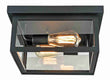 Load image into Gallery viewer, 2-Light Outdoor Ceiling Lights Black Outdoor Flushmount