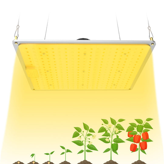 1000W Full Spectrum LED Grow Light with UV/IR for Hydroponic Indoor Plants Veg and Flower Growth