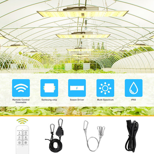 Full Spectrum LED Grow Light 2000W with UV/IR 