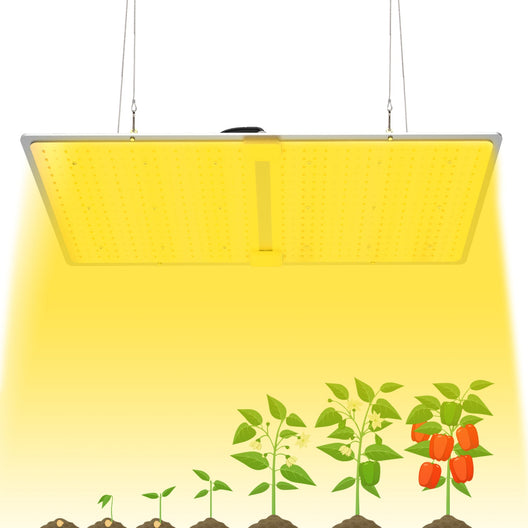 Full Spectrum LED Grow Light 2000W with UV/IR 