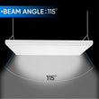 Load image into Gallery viewer, 2FT Linear LED High Bay Light 60W/80W/105W Wattage Adjustable, 4000k/5000K/6500K CCT Changeable, Dip Switch, 0 - 10V Dim, 120 - 277V Input Voltage, ETL, DLC 5.1 Listed - LEDMyPlace