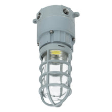 Load image into Gallery viewer, 20 Watt LED Explosion Proof Jelly Jar Light, O Series, Non Dimmable, 5000K, 2800LM, AC100-277V, IP66