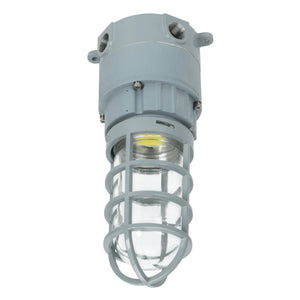 20 Watt LED Explosion Proof Jelly Jar Light, O Series, Non Dimmable, 5000K, 2800LM, AC100-277V, IP66