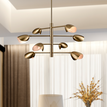 Load image into Gallery viewer, 8-Light Chandelier Brass finish hardware, E12 Base