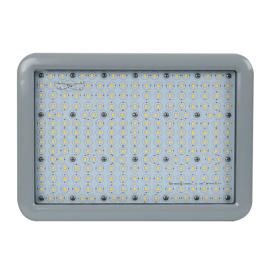 LED Explosion Proof Light, A Series, 5000K, Dimmable, 100-277V, 120° beam angle, 70CRI, UL Listed 200W