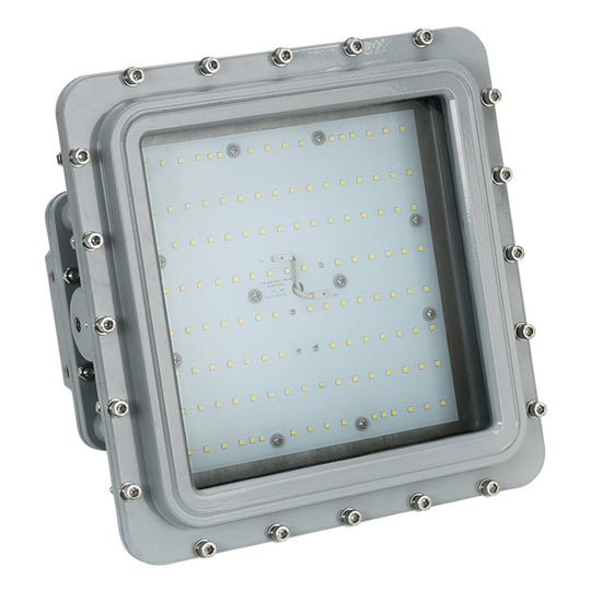 LED Explosion Proof Light, D Series, 5000K, Dimmable, 100-277V, 120° beam angle, 70CRI, 60W