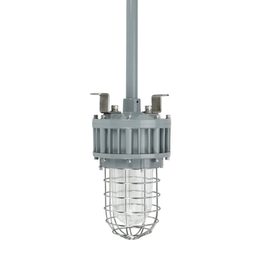 LED Explosion Proof Light, G Series, 5000K, LM4050, Dimmable, 100-277V, 120° beam angle, 70CRI 30W