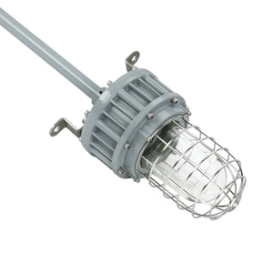 LED Explosion Proof Light, G Series, 5000K, LM4050, Dimmable, 100-277V, 120° beam angle, 70CRI 30W