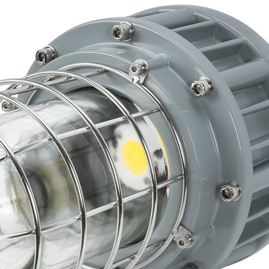 LED Explosion Proof Light, G Series, 5000K, LM4050, Dimmable, 100-277V, 120° beam angle, 70CRI 30W