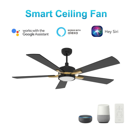 Appleton 52 Inch 5-Blade Best Smart Ceiling Fan With Led Light Kit & Remote Control- Black/Black (Gold Detail)