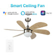 Load image into Gallery viewer, Minimus 38-inch Indoor Best Smart Ceiling Fan with Light Kit &amp; Wall Control, Works with Alexa/Google Home/Siri