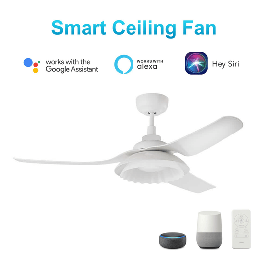 Daisy 52'' Best Smart Ceiling Fan with Remote, Light Kit Included, Works with Google Assistant and Amazon Alexa,Siri Shortcut - LEDMyPlace