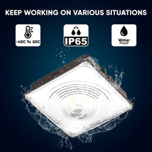 Load image into Gallery viewer, LED Canopy Light 35W 5700K Daylight 4550LM IP65 Waterproof 0 - 10V Dim 120 - 277VAC Surface or Pendant Mount, for Gas Stations Outdoor Area Light, Bronze - LEDMyPlace