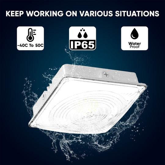 35W LED Canopy Light 5700K Daylight 4550LM IP65 Waterproof 0-10V Dim 120-277VAC Surface or Pendant Mount, for Gas Stations Outdoor Area Light White