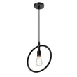 Load image into Gallery viewer, Matte Black Ring Shape Pendant Light Fixture, E26 Base, UL Listed for Dry Location, Fixture Size: D12 x H13.5 Inch - LEDMyPlace
