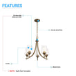 Load image into Gallery viewer, 5-Lights Chandelier Lighting - Brass Gold Finish, Clear Glass Shades, UL Listed for Damp Location, E26 Socket, 3 Years Warranty