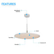 Load image into Gallery viewer, Circular plate pendant light