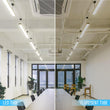 Load image into Gallery viewer, T8 4ft LED Tube/Bulb - 22W 3080 Lumens 6500K Clear, Retrofit, Single End Power - Ballast Bypass Fluorescent Replacement