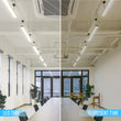 Load image into Gallery viewer, T8 4ft LED Tube Light, 22W, 2-Row LED Tube, 5000K, Clear, Ballast Bypass, Dual-Ended Power