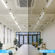 Load image into Gallery viewer, T8 4ft LED Tube Light Glass, 18W, 2400 Lumens, 6500K, Frosted, Hybrid T8 Led Bulbs  (Check Compatibility List; Not Compatible with all ballasts)