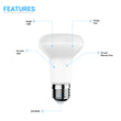 Load image into Gallery viewer, 5000K - R20/BR20 - LED Bulbs, 7.5Watts - 30 Watt Equivalent, Day Light White